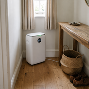 Morven Vale dehumidifier in a hallway beside a console table